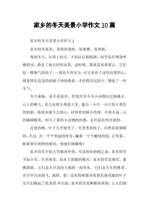家乡的冬天美景小学作文10篇