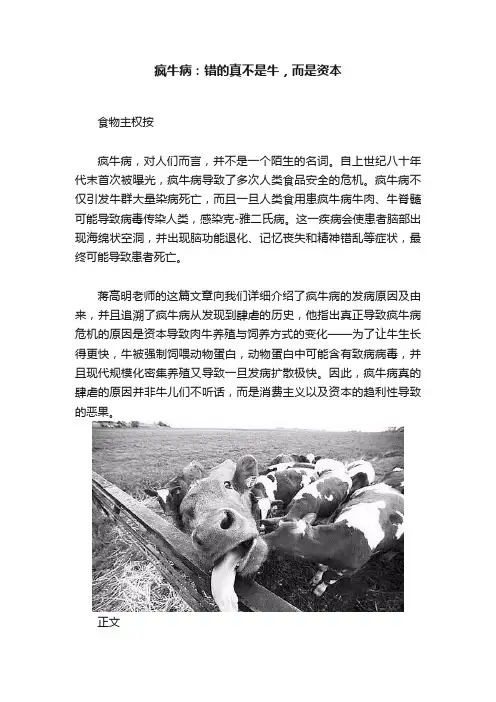 疯牛病：错的真不是牛，而是资本