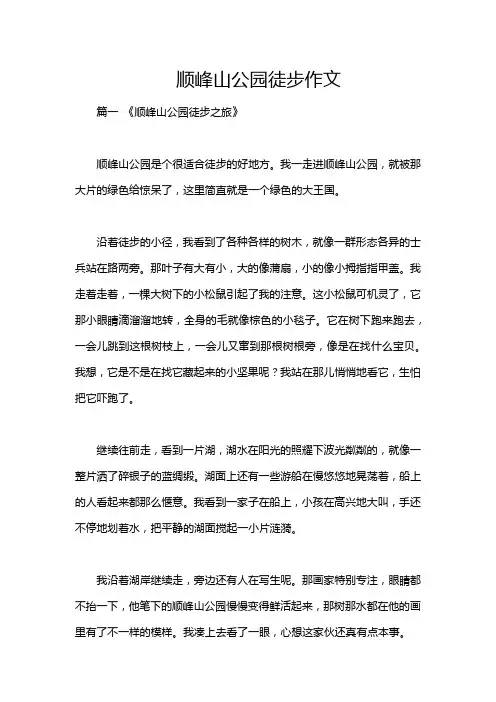 顺峰山公园徒步作文