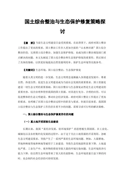 国土综合整治与生态保护修复策略探讨