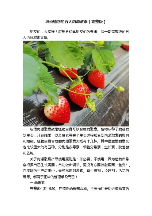 细说植物的五大内源激素（完整版）