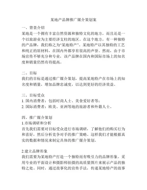 某地产品牌推广媒介策划案