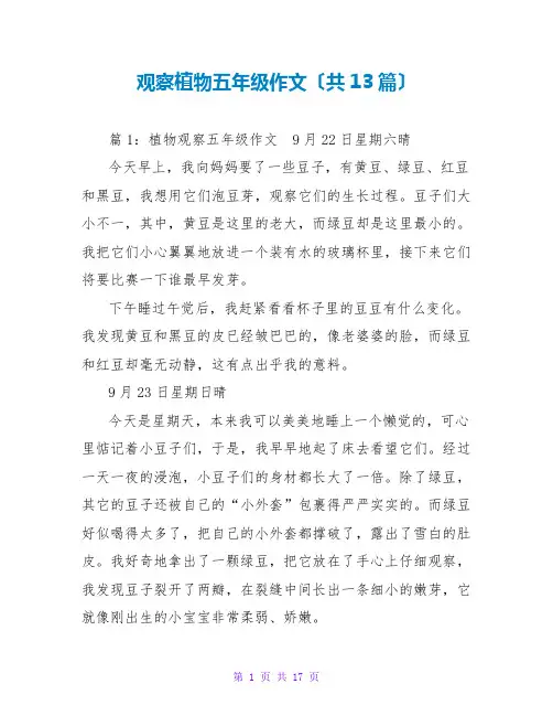 观察植物五年级作文(共13篇)