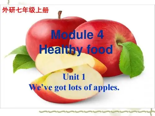外研版七年级上Module4 Unit1课件(共31张PPT)