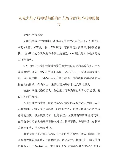 制定犬细小病毒感染的治疗方案-治疗细小病毒的偏方