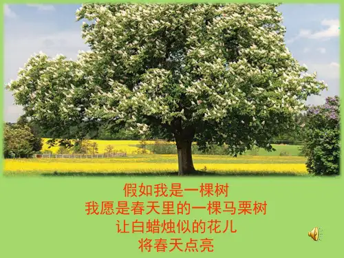 那树  王鼎钧-(完美版)ppt