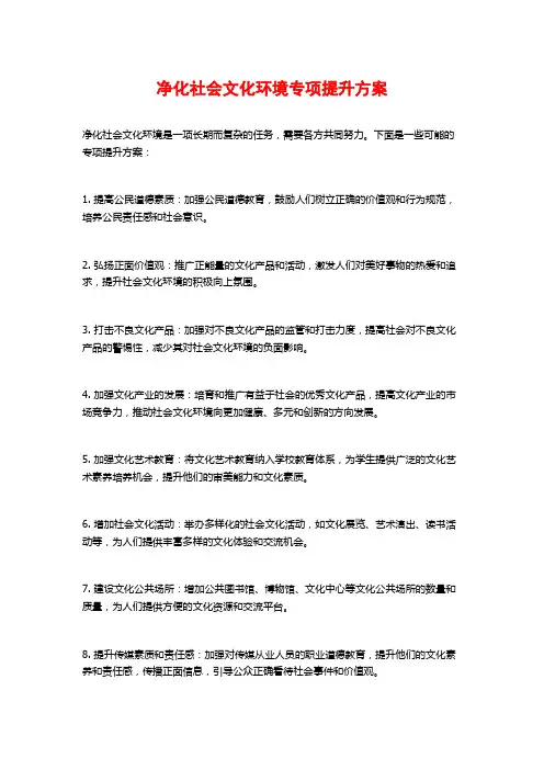 净化社会文化环境专项提升方案