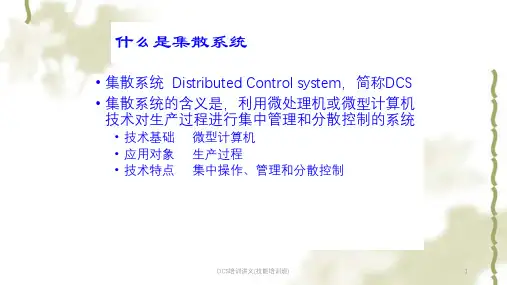 DCS培训讲义(技能培训班)ppt课件