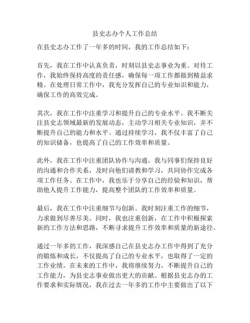 县史志办个人工作总结