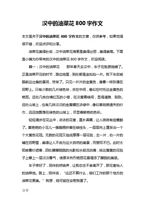 汉中的油菜花800字作文