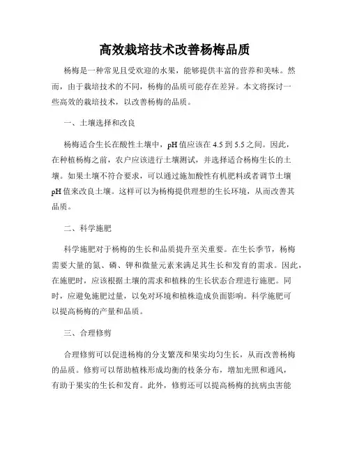 高效栽培技术改善杨梅品质