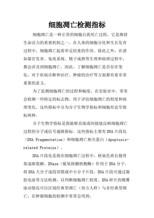 细胞凋亡检测指标