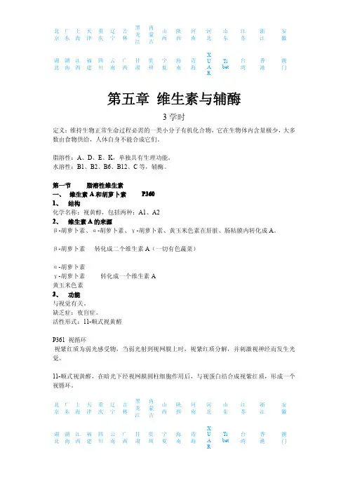 第五章 维生素与辅酶
