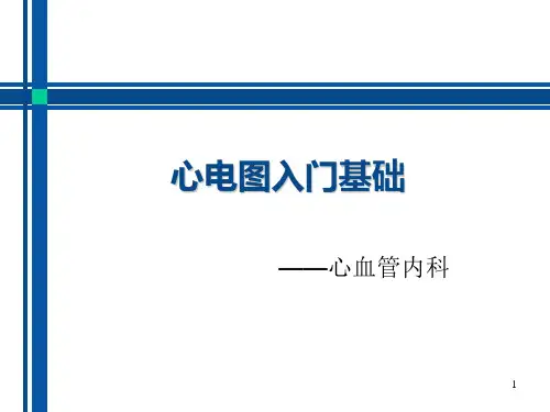 心电图入门基础PPT课件