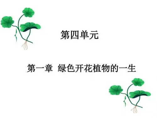 花的结构和类型 PPT课件3 济南版