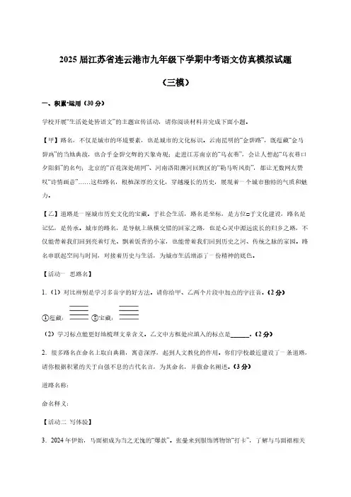 2025届江苏省连云港市九年级下学期中考语文仿真模拟试题(三模)附答案