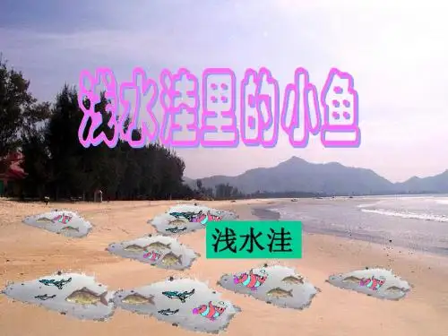 《浅水洼里的小鱼》PPT课件