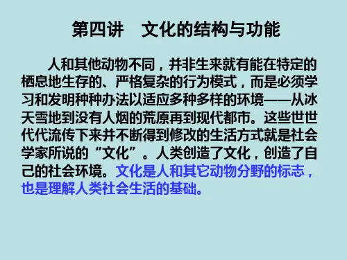 第四讲 文化的结构与功能