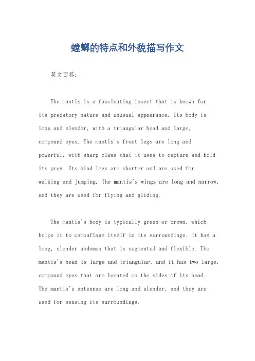 螳螂的特点和外貌描写作文