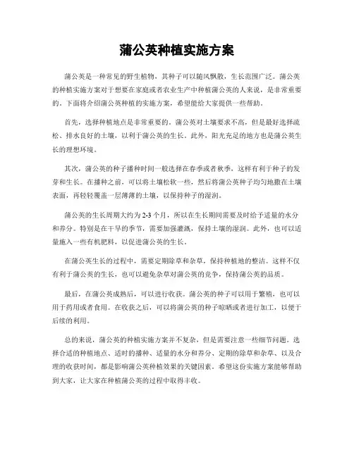 蒲公英种植实施方案