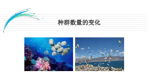 高中生物必修3优质课件24：4.2 种群数量的变化