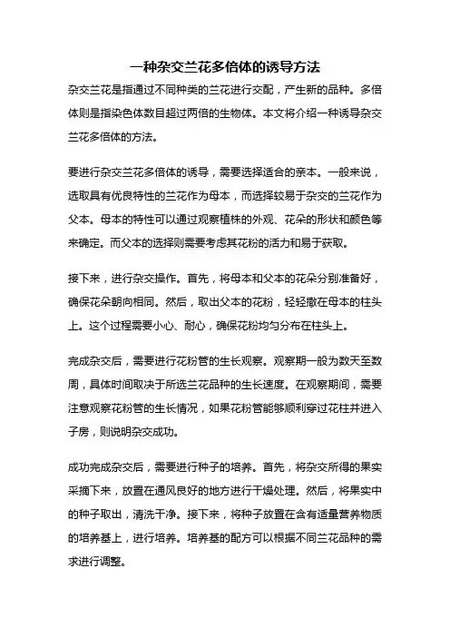 一种杂交兰花多倍体的诱导方法