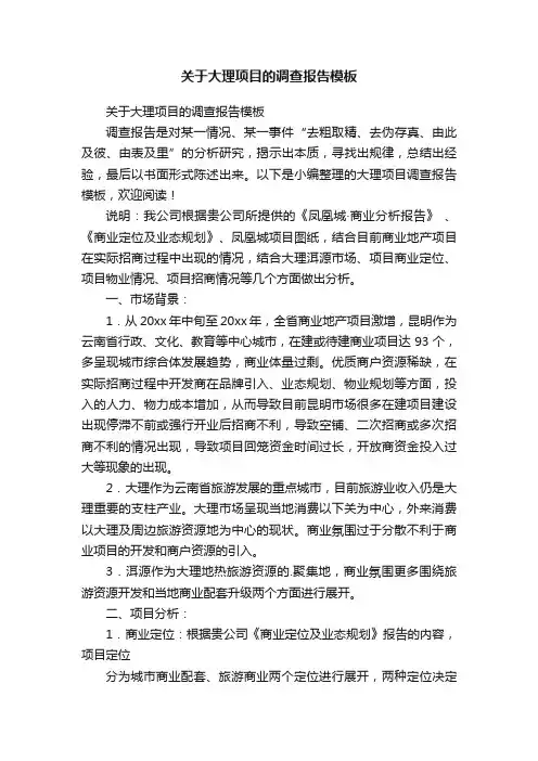 关于大理项目的调查报告模板