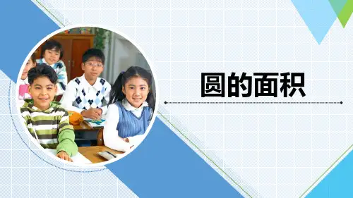 《圆的面积》精品课件(习题版)