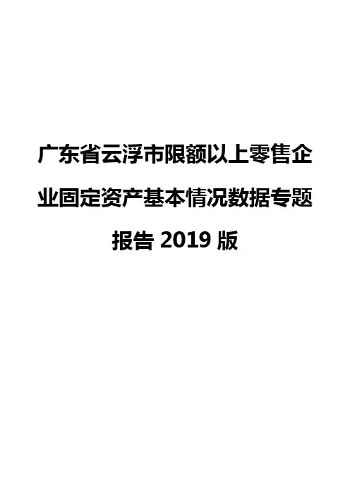 广东省云浮市限额以上零售企业固定资产基本情况数据专题报告2019版