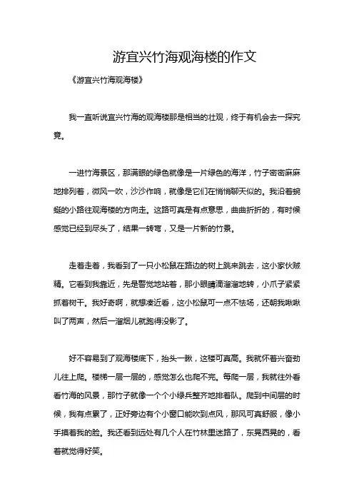 游宜兴竹海观海楼的作文