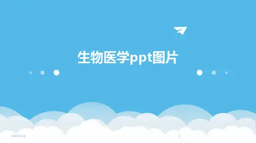 2024版生物医学ppt图片