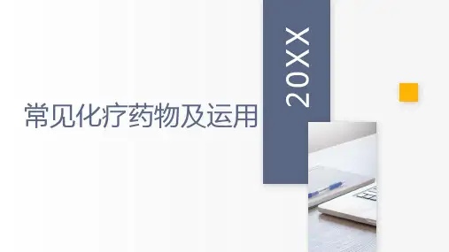 常见化疗药物及运用
