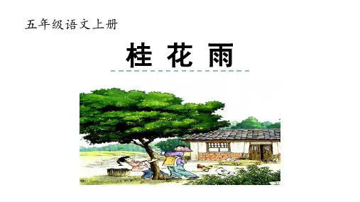 《桂花雨》ppt课件