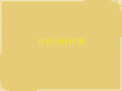 结核分枝杆菌【共15张PPT】