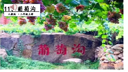 人教版二年级语文上册11、葡萄沟市名师优质课赛课一等奖市公开课获奖课件