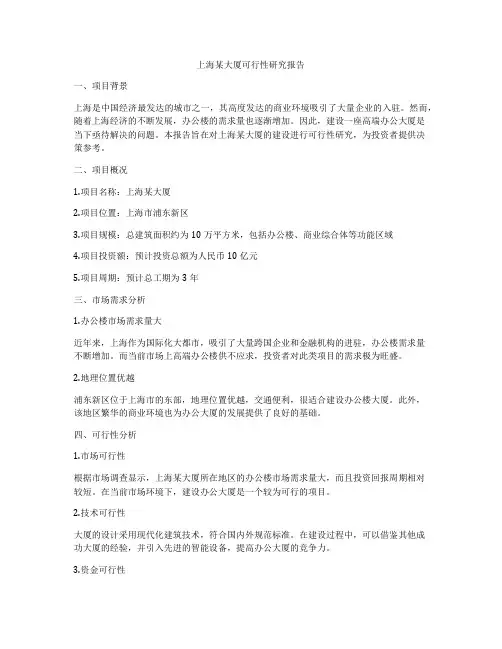 上海某大厦可行性研究报告