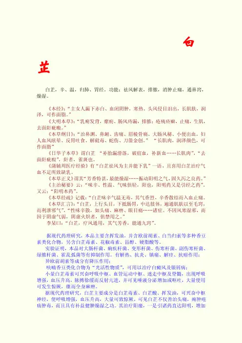 白芷——精选推荐