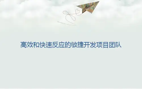 第三方项目开发管理经验总结分享(PPT 46页)