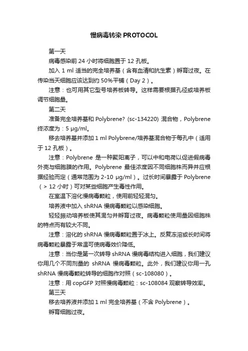 慢病毒转染PROTOCOL