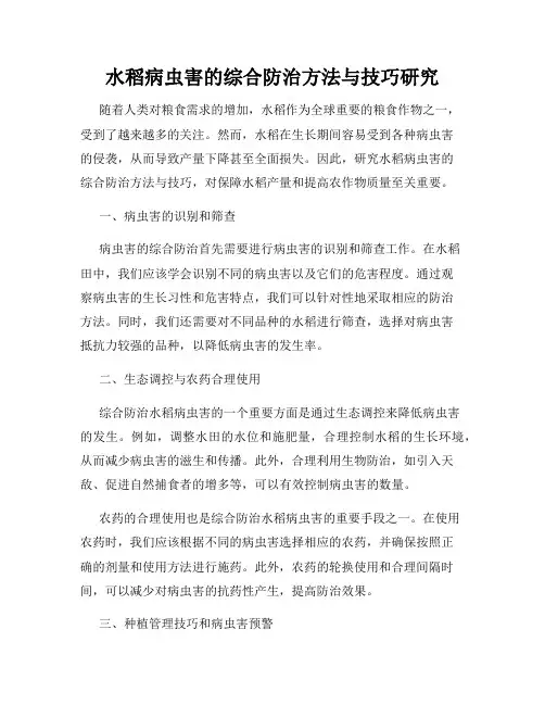 水稻病虫害的综合防治方法与技巧研究