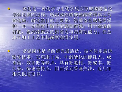 磷化培训PPT