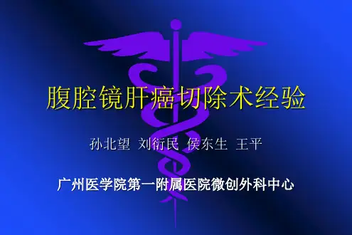 腹腔镜肝癌切除 ppt课件