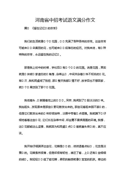 河南省中招考试语文满分作文
