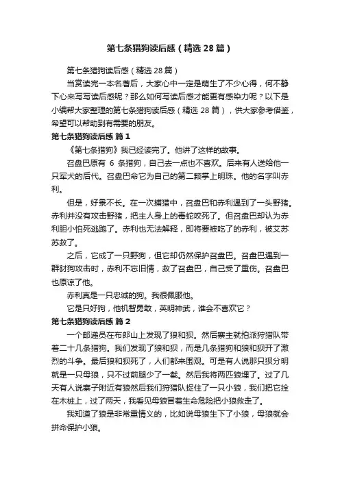 第七条猎狗读后感（精选28篇）