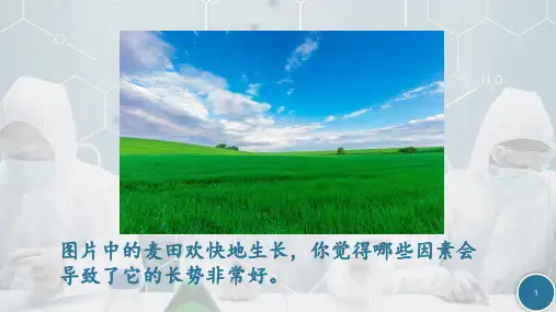 化学人教版 必修第二册第五章第二节氮及其化合物(共25张ppt)