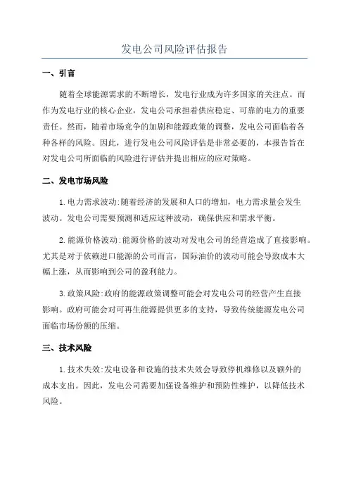 发电公司风险评估报告