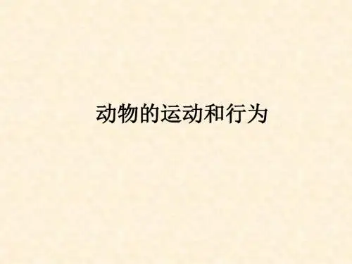 《动物的运动和行为》复习课件
