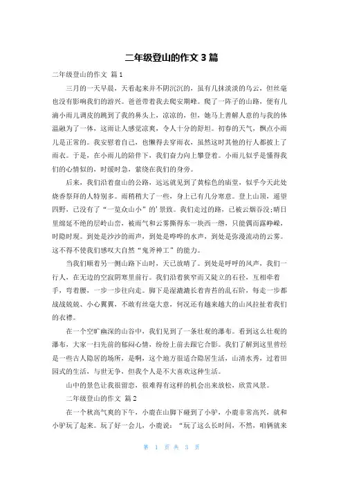 二年级登山的作文3篇