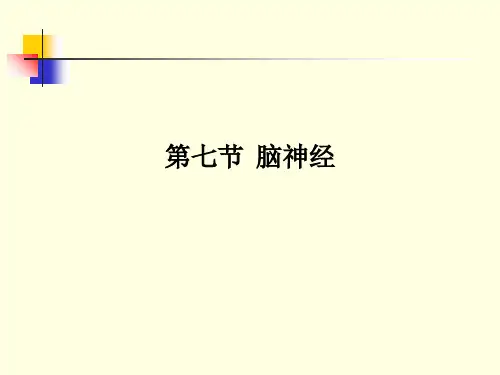[医学]第七节  脑神经