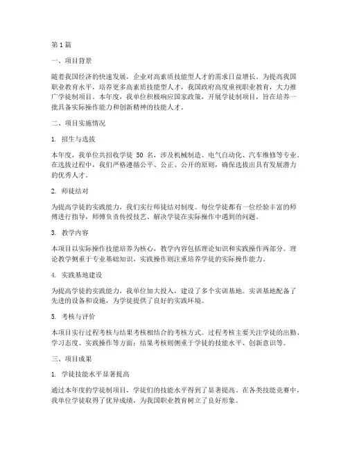 学徒制项目年度总结(3篇)
